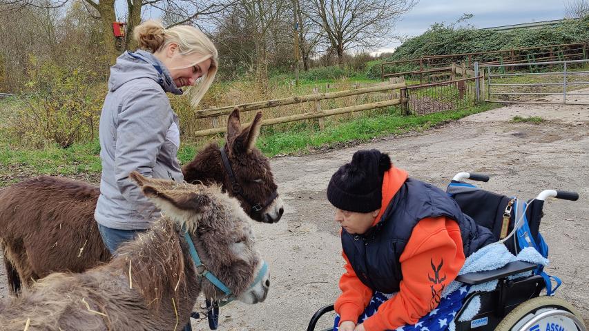 Wunschfahrt zum Erlebnisbauernhof
